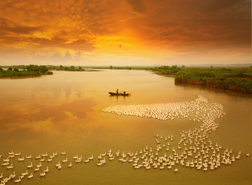 点此在新窗口浏览图片