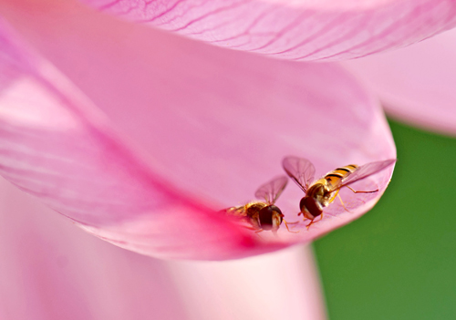 点此在新窗口浏览图片