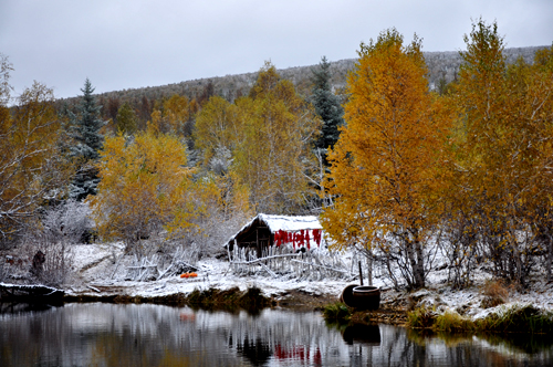 点此在新窗口浏览图片