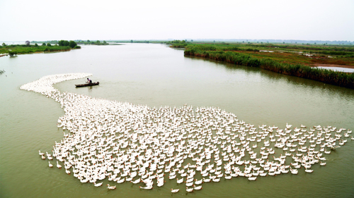 点此在新窗口浏览图片