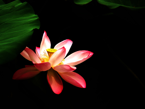 点此在新窗口浏览图片