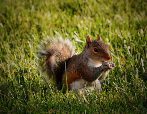 点此在新窗口浏览图片