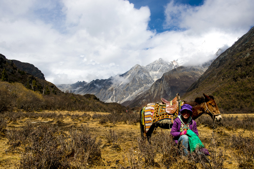 点此在新窗口浏览图片