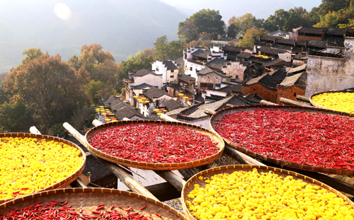 点此在新窗口浏览图片