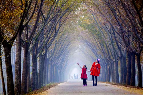 点此在新窗口浏览图片