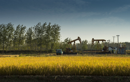 点此在新窗口浏览图片