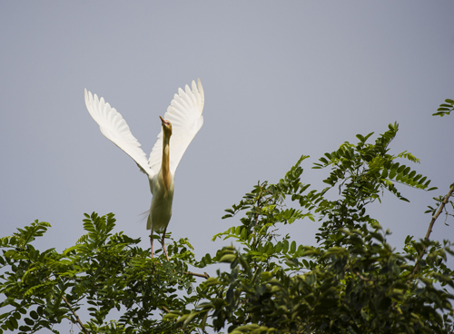 点此在新窗口浏览图片