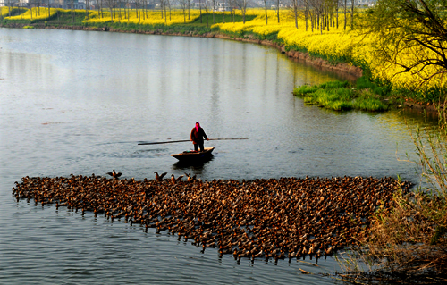 点此在新窗口浏览图片