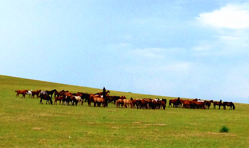 点此在新窗口浏览图片