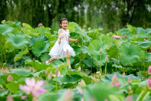 点此在新窗口浏览图片