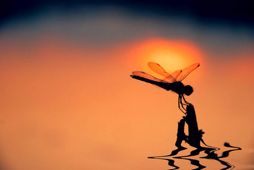 点此在新窗口浏览图片