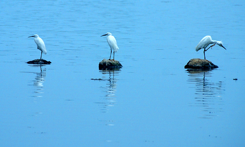 点此在新窗口浏览图片