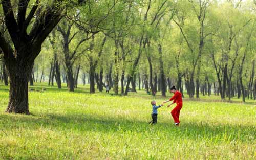 点此在新窗口浏览图片