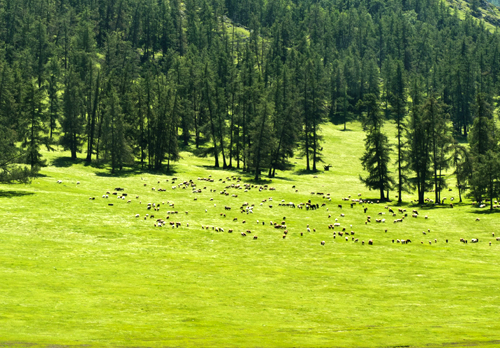 点此在新窗口浏览图片