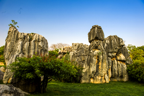 点此在新窗口浏览图片
