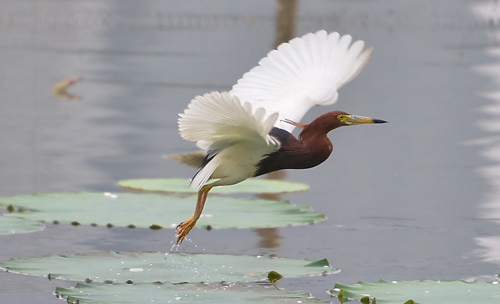 点此在新窗口浏览图片