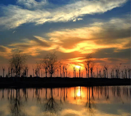 点此在新窗口浏览图片