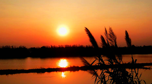 点此在新窗口浏览图片