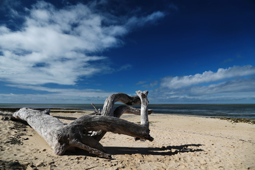 点此在新窗口浏览图片