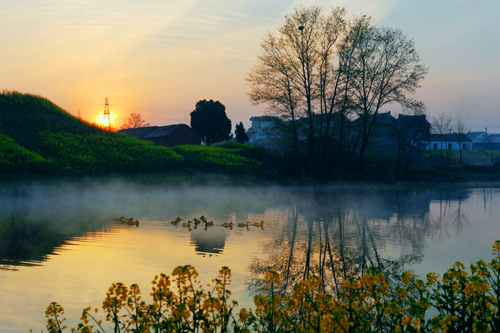点此在新窗口浏览图片