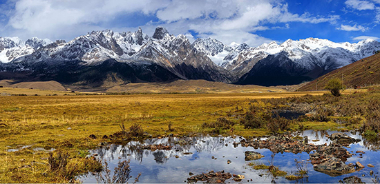 点此在新窗口浏览图片
