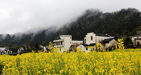 点此在新窗口浏览图片