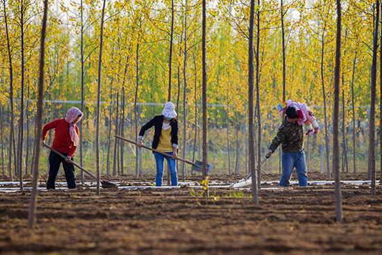 点此在新窗口浏览图片