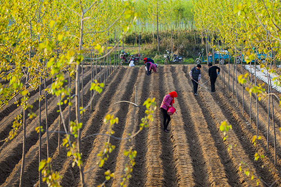 点此在新窗口浏览图片