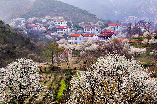 点此在新窗口浏览图片