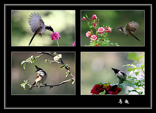 点此在新窗口浏览图片