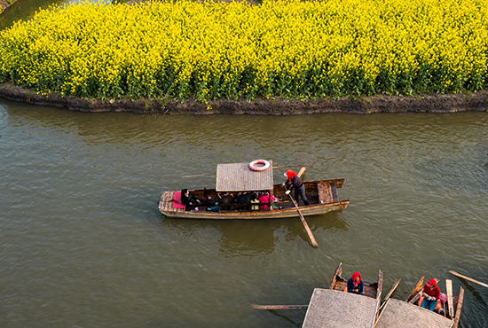 点此在新窗口浏览图片