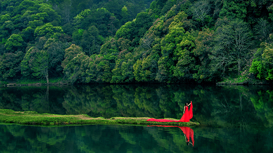 点此在新窗口浏览图片