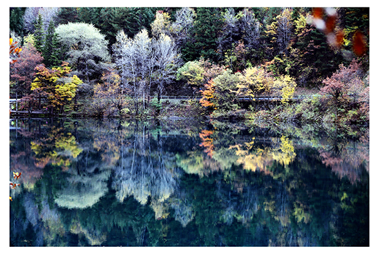 点此在新窗口浏览图片