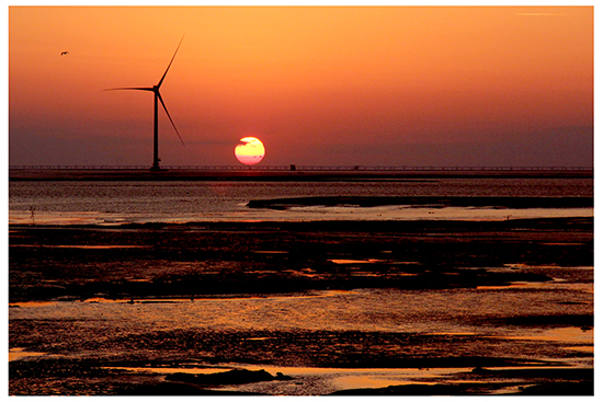 点此在新窗口浏览图片