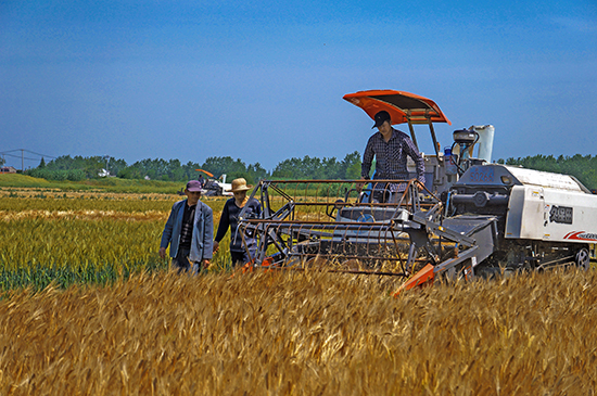 点此在新窗口浏览图片