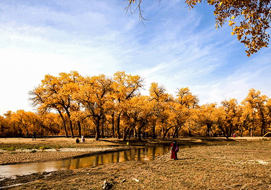 点此在新窗口浏览图片