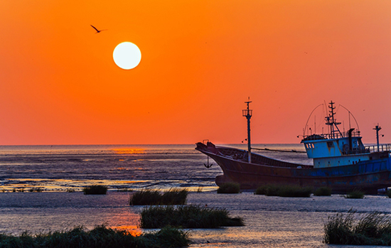 点此在新窗口浏览图片