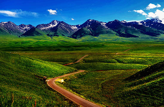 点此在新窗口浏览图片