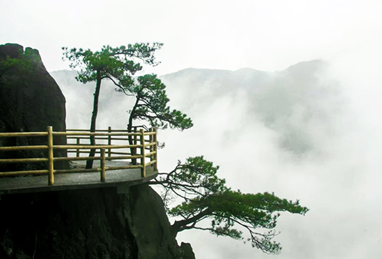 点此在新窗口浏览图片