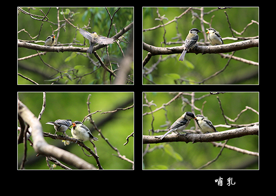 点此在新窗口浏览图片