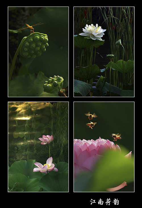 点此在新窗口浏览图片