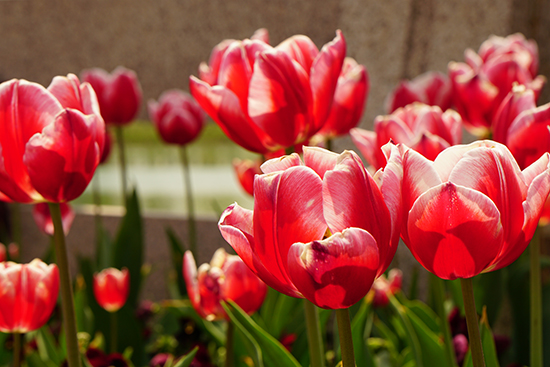 点此在新窗口浏览图片