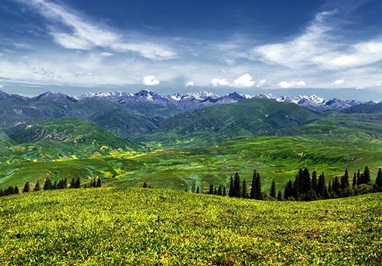 点此在新窗口浏览图片