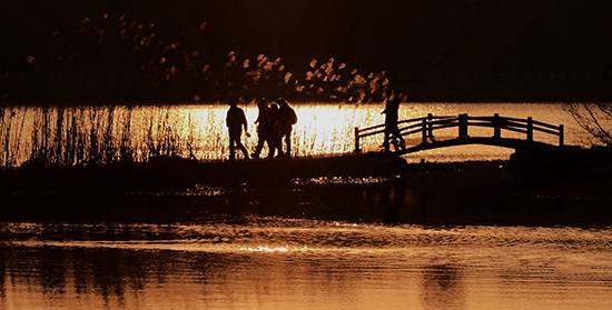 点此在新窗口浏览图片