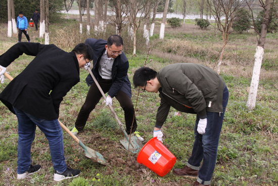 点此在新窗口浏览图片
