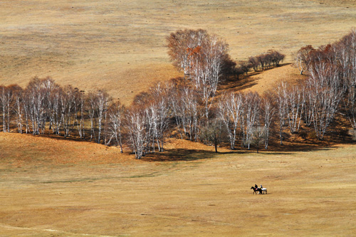 点此在新窗口浏览图片
