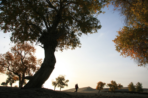 点此在新窗口浏览图片