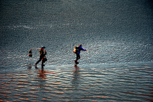 点此在新窗口浏览图片