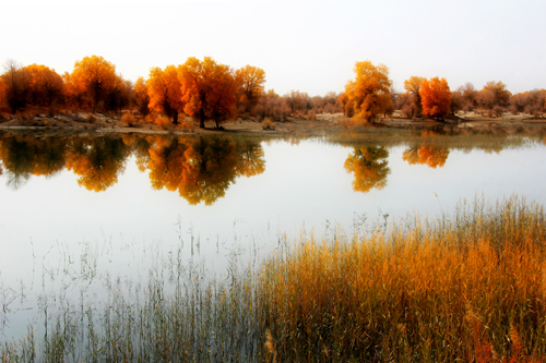 点此在新窗口浏览图片