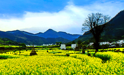 点此在新窗口浏览图片